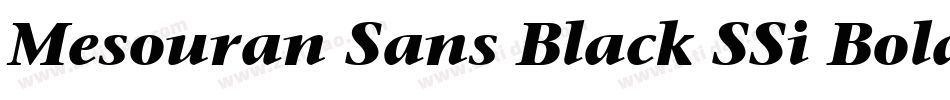 Mesouran Sans Black SSi Bold字体转换